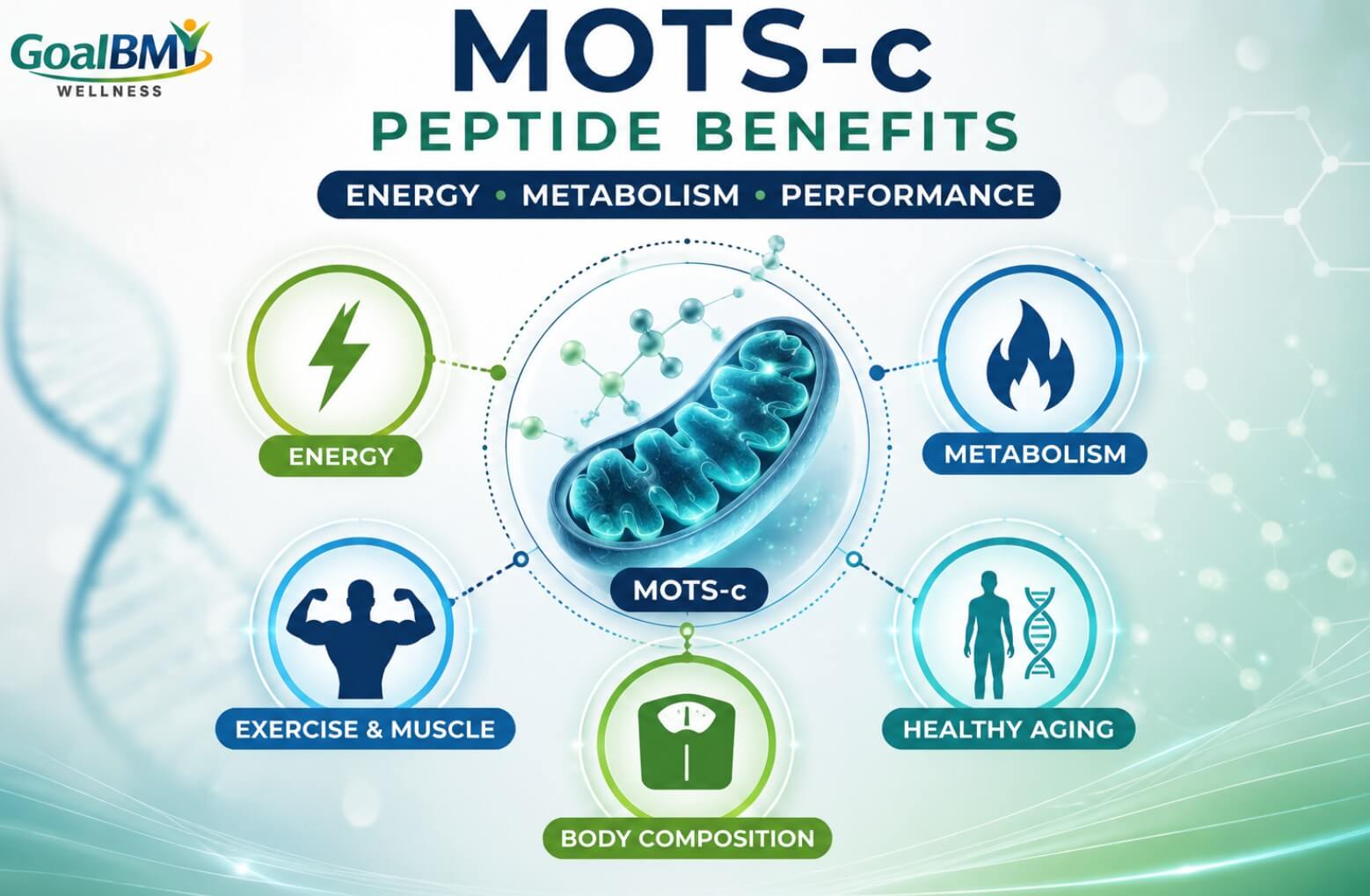 mots c vs cjc 1295 ipamorelin MOTS-c Peptide Benefits: What the Research Actually Shows Revelation Pharma Clinical Liaison Product Amount:200 Capsules reduced glutathione